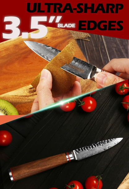 YOUSUNLONG Paring Knife 3.5 inch Peeling Knives Japanese 67 Layers Hammered Damascus Steel with Natural Leadwood Handle