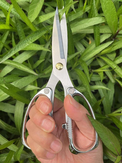 Indoor Plant Shears Garden Scissors, Flower Pruners Made of Japan SK5 Stainless Steel, Flowers Herbs and Plant Cutters, Clippers, Trimmers, Loppers, Bonsai Potted Plant Pruning Scissors