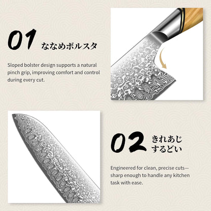 TIVOLI Japanese Gyuto Knife 10 Inch– VG-10 Damascus Chef Knife with Razor Sharp Blade and Ergonomic Olive Wood Handle, Ideal for Meat, Vegetables & Daily Cooking