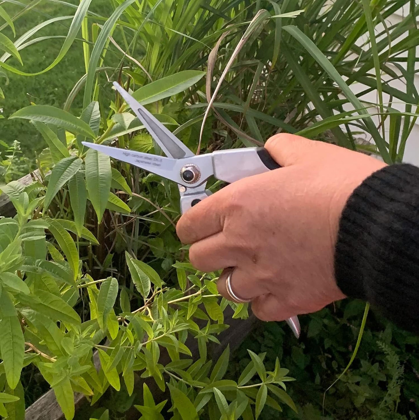 Pruning Shears - Garden Scissors Florist Snips - 2.5” Blades - Flower Scissors for Cutting Fresh Flowers, Trimming, or Harvesting Herbs or Fruit - Pruners for Gardening Tools by Kings County Tools