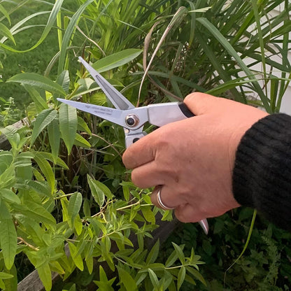 Pruning Shears - Garden Scissors Florist Snips - 2.5” Blades - Flower Scissors for Cutting Fresh Flowers, Trimming, or Harvesting Herbs or Fruit - Pruners for Gardening Tools by Kings County Tools