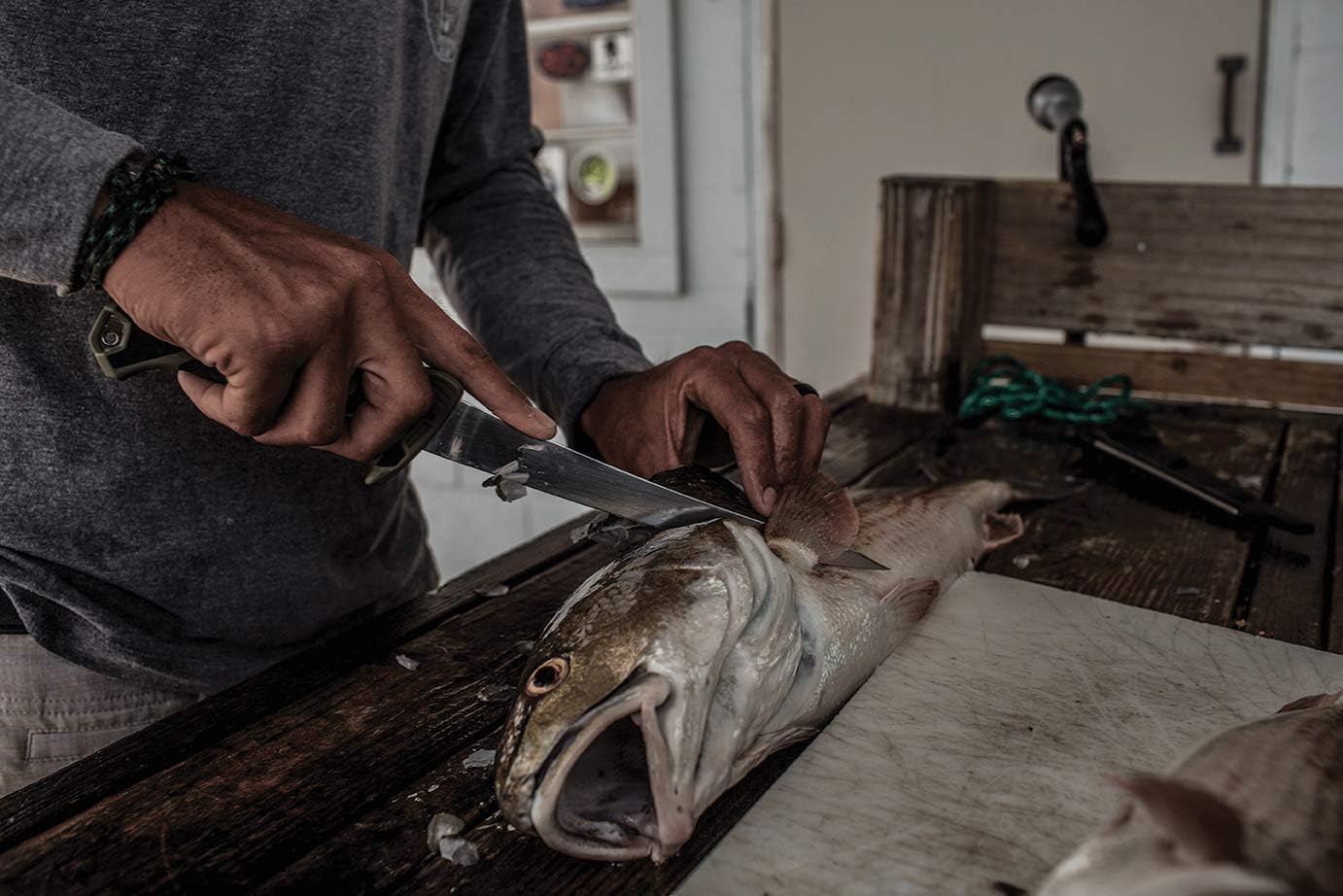 Gerber Controller 6 in. Freshwater Fish Fillet Knife