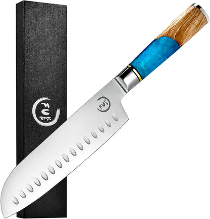 5 Inch Kitchen Utility Knife, Damascus Paring Knives,Japanese VG10 Steel Damascus Fruit Knife-Ergonomic Blue Resin Handle Ideal Birthday Gift for Men and Women