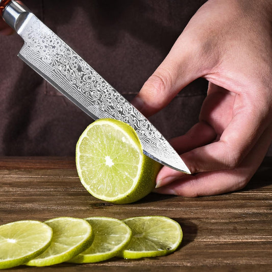 Chef Knife 8 Inch Damascus Chefs Knife Japanese VG10 Kitchen Knife Sharpest 67-Layer High Carbon Stainless Steel knife Cooking Knife, Meat Cutting Gyuto Chef Knife with Sheath(type 1)