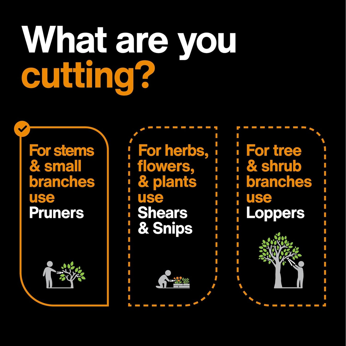 Fiskars 2-Piece Pruning & Veggie Shears Set, Explore Collection Garden Tool Kit, Bypass Pruner for Light Trimming, Vegetable Shears with Serrated Stainless Steel Blades for Harvesting Flowers & Herbs