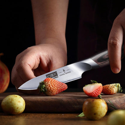 HOSHANHO Knife Set with Magnetic Knife Holder, 6 Pieces Japanese High Carbon Stainless Steel Kitchen Knife Sets, Ultra Sharp Professional Chef Knives Sets