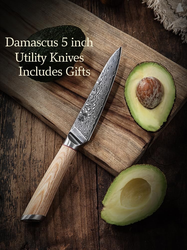 DONGSUN 8 Inch Damascus Chef Knife with North American Black Walnut Sheath, 67-Layer VG10 Forged Steel Japanese Gyuto, Professional Durable Sharpness