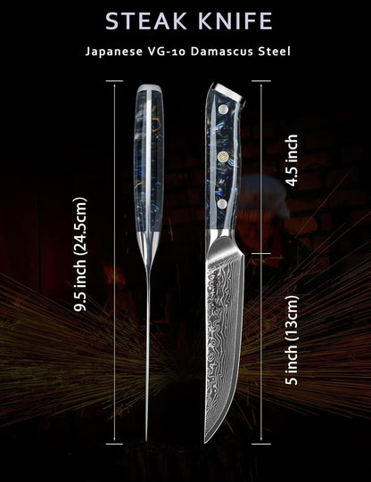 Steak Knives Set of 4, Ultra Sharp Non Serrated Kitchen Steak Knife 5 Inch - Damascus Steel & Resin Handle - Xuan Series (Sapphire Blue)