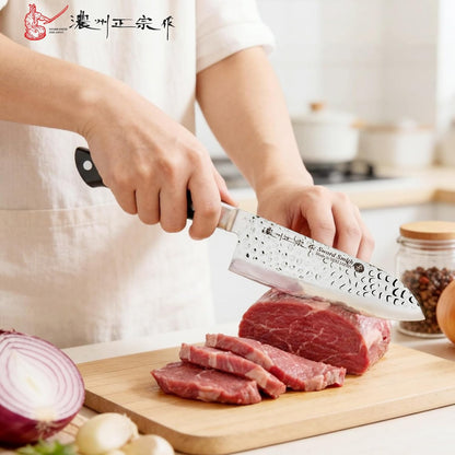 8 Inch Japanese Chef Knife, Made in Japan, Full Tang High Carbon Molybdenum Stainless Steel Gyuto Knife with Hammered Finish for Rock Chopping Meat, Fish and Vegetables