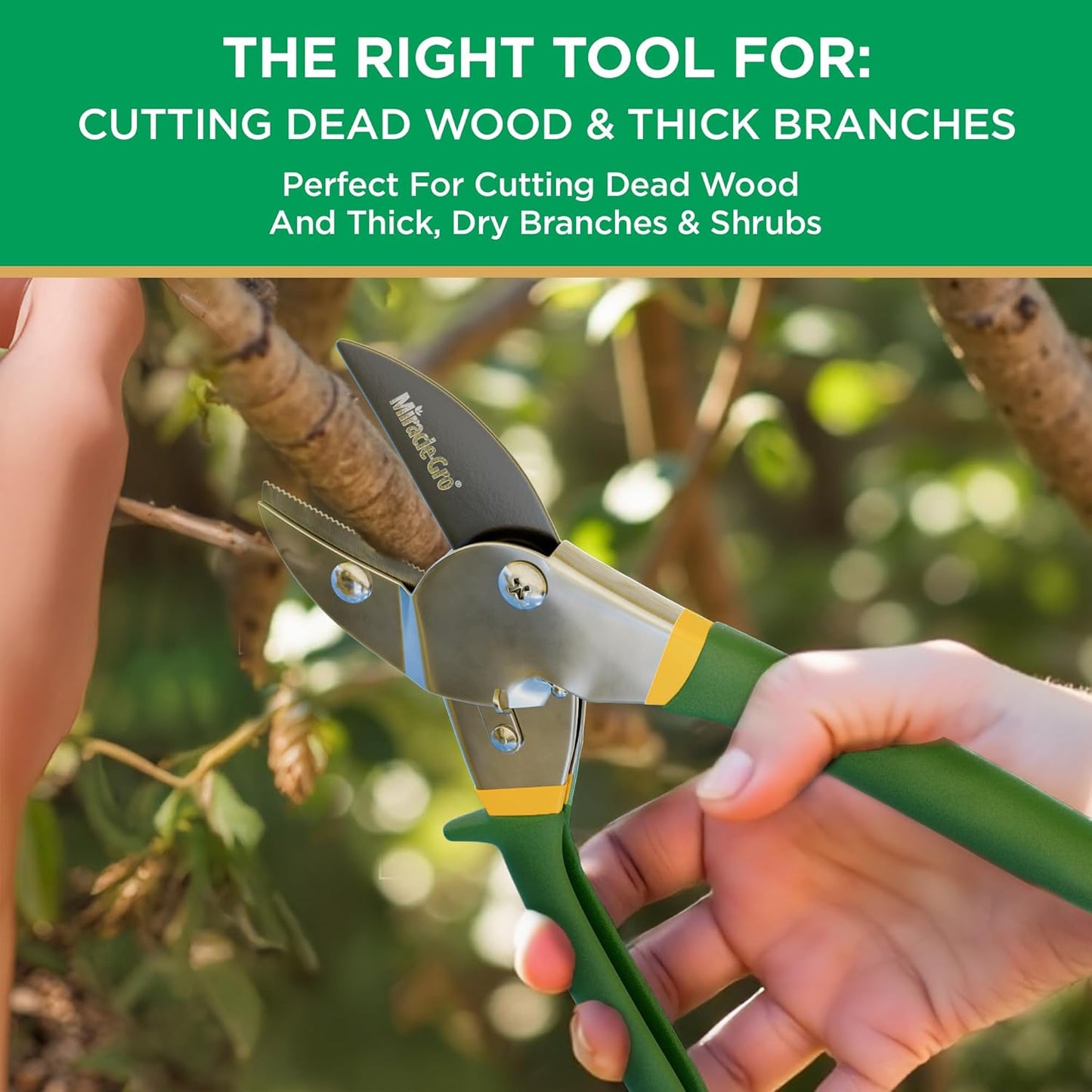 Miracle-Gro 8 in. All-Purpose Steel Garden Utility Shears with Serrated Blades – Comfort Grip Yard and Garden Scissors for Pruning Plants, Flowers, and Herbs