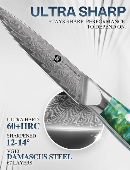 WILDMOK Paring Knife 3.5 Inch, Japanese Damascus Fruit Knife, Small peeling knife Perfect for Cutting Fruit Vegetables Petty Knife