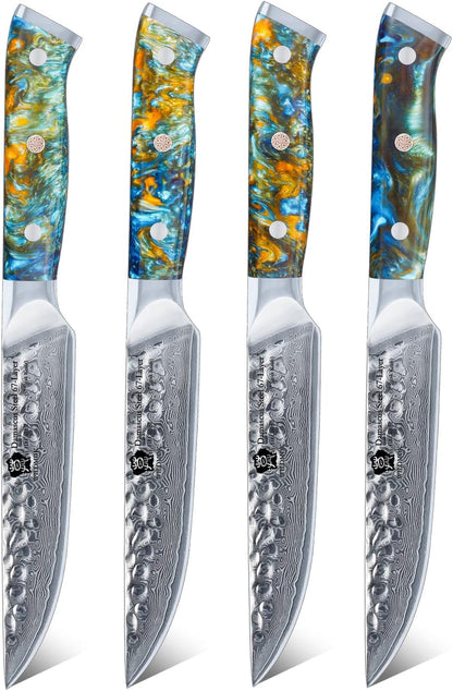 WILDMOK Steak Knife Set 4pc Full Tang 5 inch Forged Damascus Steel Dinner Knives Full Tang Ergonomic Beautiful Resin Handle
