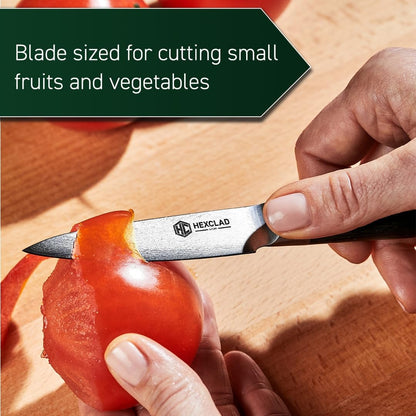3.5 Inch Japanese Damascus Stainless Steel Pairing Knife, Full Tang Construction, Pakkawood Handle