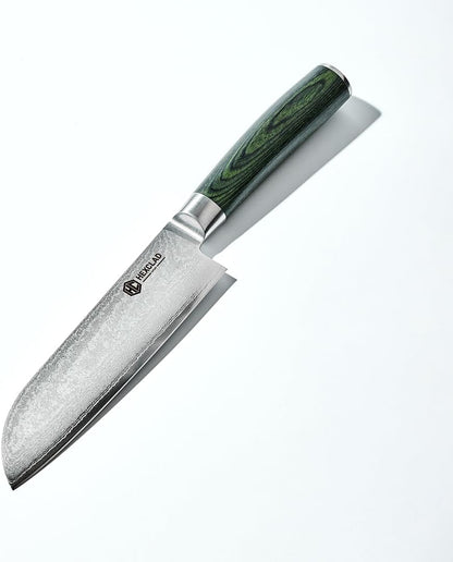 3.5 Inch Japanese Damascus Stainless Steel Pairing Knife, Full Tang Construction, Pakkawood Handle
