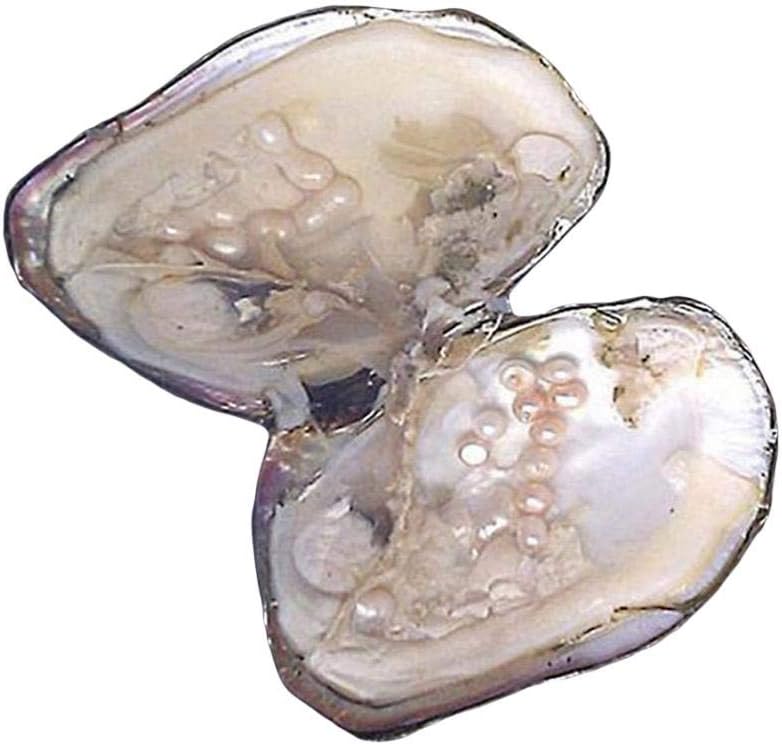 Cultured Pearls In Oysters, Freshwater Pearl Oysters With Pearls Inside | Big Oyster Pearls For Jewelry Making, Anniversary Decoration, Birthday Gifts(5-7mm)