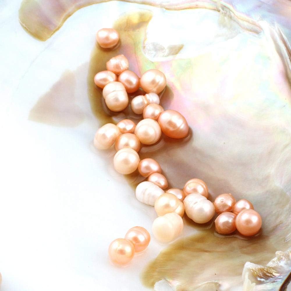 Cultured Pearls In Oysters, Freshwater Pearl Oysters With Pearls Inside | Big Oyster Pearls For Jewelry Making, Anniversary Decoration, Birthday Gifts(5-7mm)