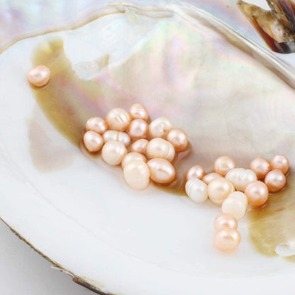 Cultured Pearls In Oysters, Freshwater Pearl Oysters With Pearls Inside | Big Oyster Pearls For Jewelry Making, Anniversary Decoration, Birthday Gifts(5-7mm)