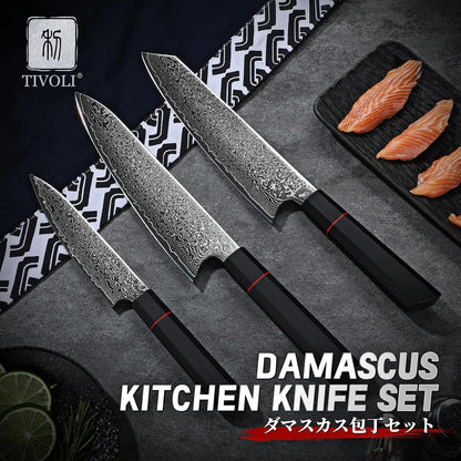 Damascus Nakiri Knife 6.5 Inch – VG10 Multipurpose Kitchen Knife | Japanese VG10 steel, Honbazuke Sharpening Method, Ergonomic Olive Wood Handle, Gift Box, for Vegetables and Meat