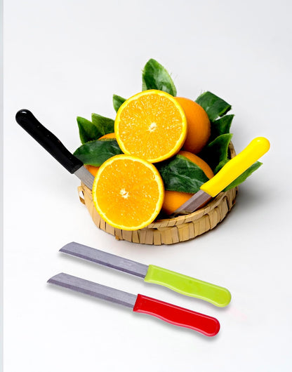 Micro Plus High Carbon Plain Stainless Steel Kitchen Knife Set, Multicolor Plastic Handles, 10 Pack, 420 Grade Blade (Plain)