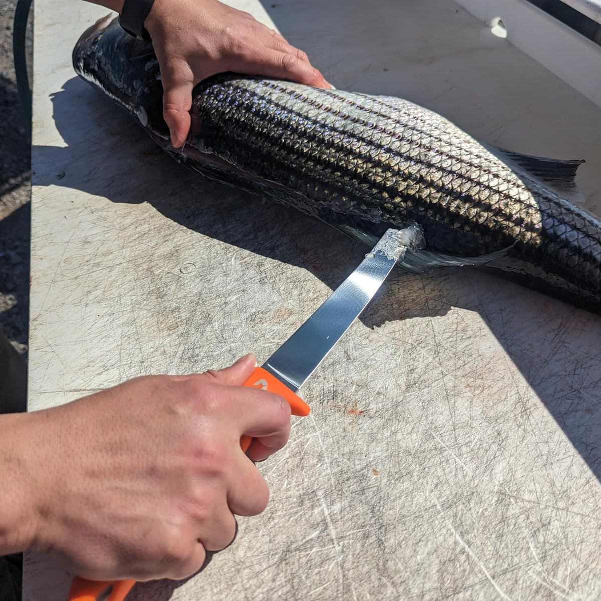 Dextreme Dual Edge 8" Flexible Fillet Knife, Sheath | Flexible dual edge high-carbon stainless blade glides along bones. Protective sheath included for boat and kitchen use.
