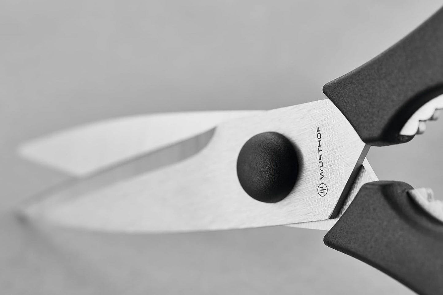 WÜSTHOF Gourmet 3" Paring Knife and Shears Set,Silver/ Black