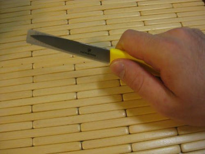3.25 Inch Swiss Classic Paring Knife with Straight Edge, Spear Point, Pink