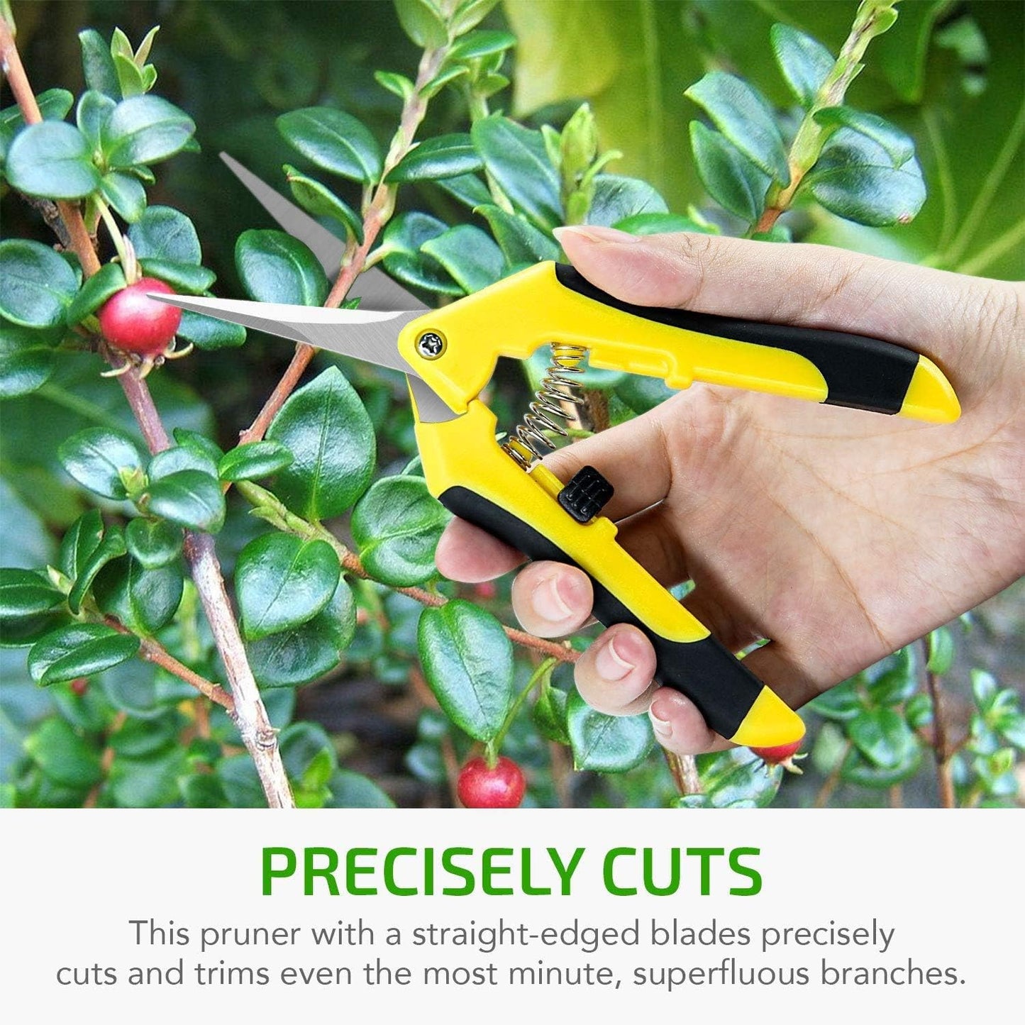 iPower 6.5 Inch Gardening Hand Pruner Pruning Shears Trimming Scissors with Straight Stainless Steel Blades for Bonsai, Herb, Bud, Hedge, 4-Pack, Yellow