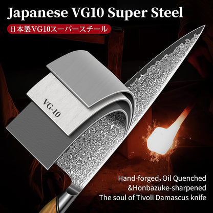 TIVOLI Japanese Gyuto Knife 10 Inch– VG-10 Damascus Chef Knife with Razor Sharp Blade and Ergonomic Olive Wood Handle, Ideal for Meat, Vegetables & Daily Cooking