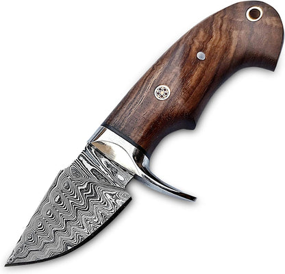 Warivo Damascus Steel Hunting Knife 10 Inch Fixed Blade with Leather Sheath Wood Handle, Skinning Knife for Camping Survival Bushcraft Outdoor Gear for Men