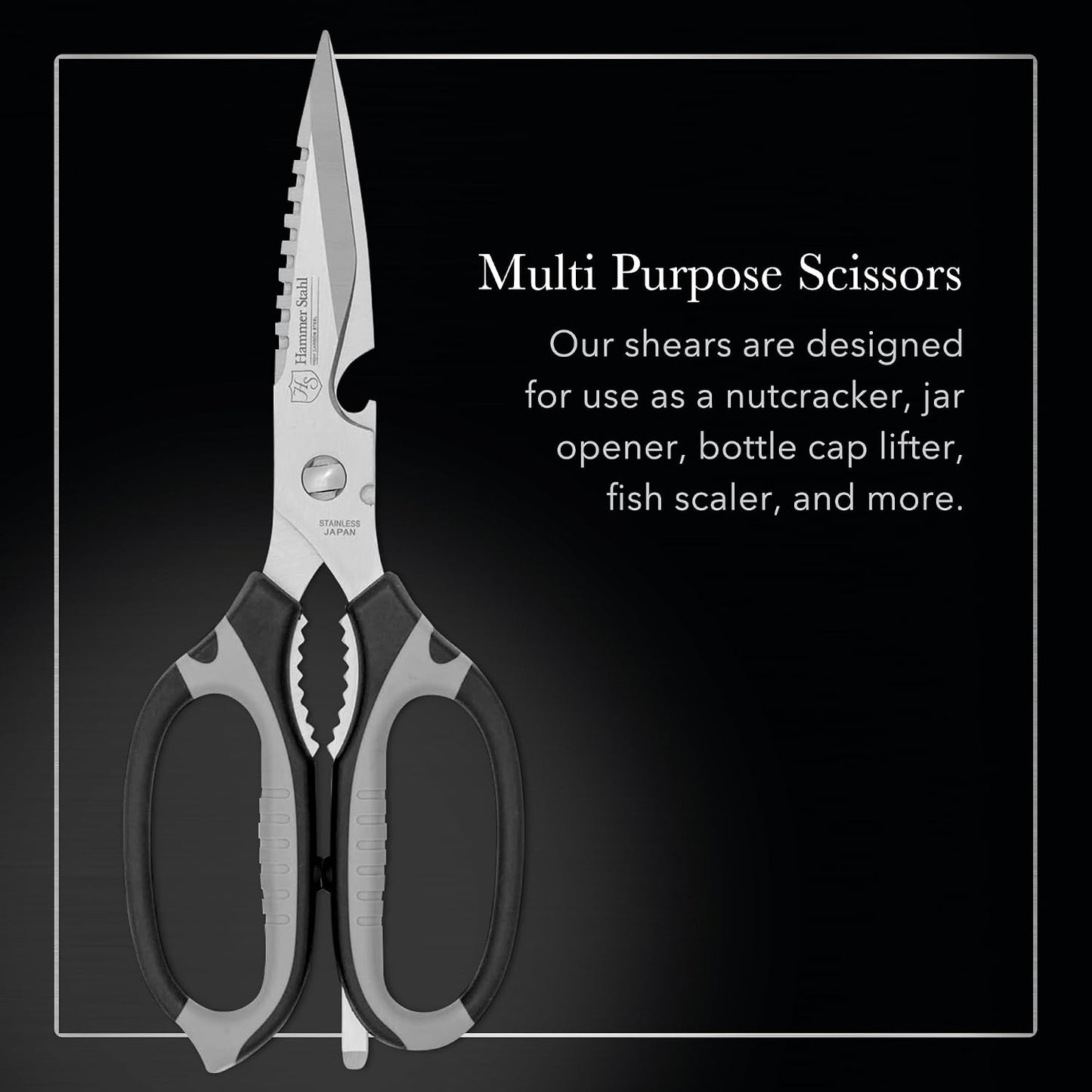 Kitchen Shears