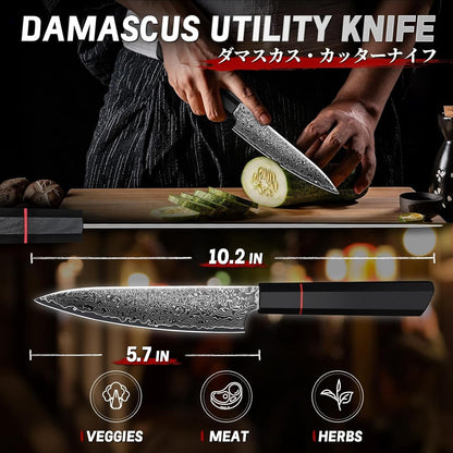 TIVOLI Japanese Gyuto Knife 10 Inch– VG-10 Damascus Chef Knife with Razor Sharp Blade and Ergonomic Olive Wood Handle, Ideal for Meat, Vegetables & Daily Cooking