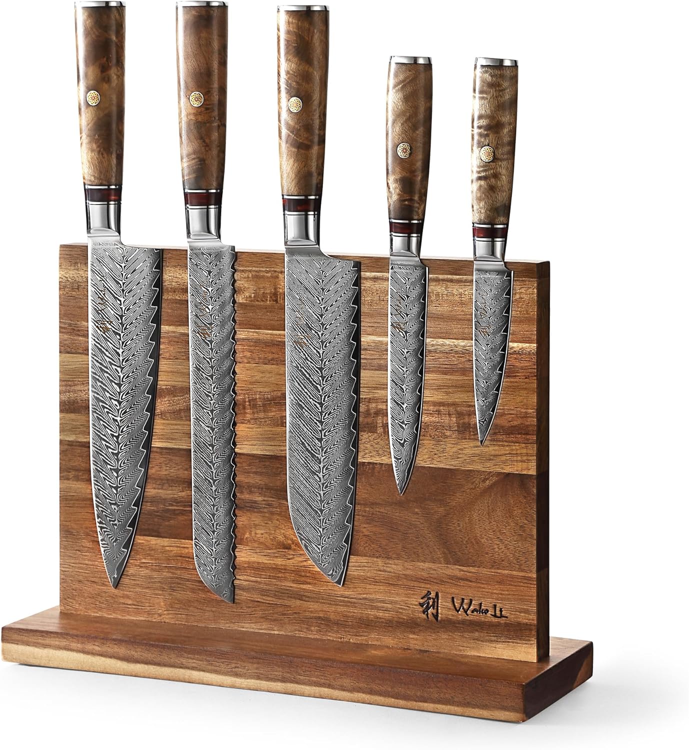 Wakoli Damascus Chef Knife Set with Magnetic Block – 5-Piece Professional Kitchen Knife Block Set, Genuine 67-Layer Damascus Steel Blades with VG10 Core & Ergonomic Sycamore Wood Handles