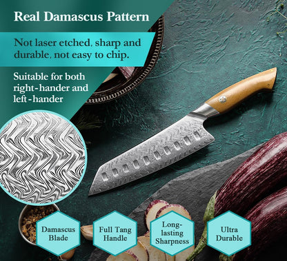 HEZHEN Damascus Chef Knife, 8.5 Inches, 67 Layers Damascus Steel, Professional Japanese Kitchen Knife for Chefs and Home Cooking, Ultra-sharp Blade with Linen Micarta Handle, Gift Packing