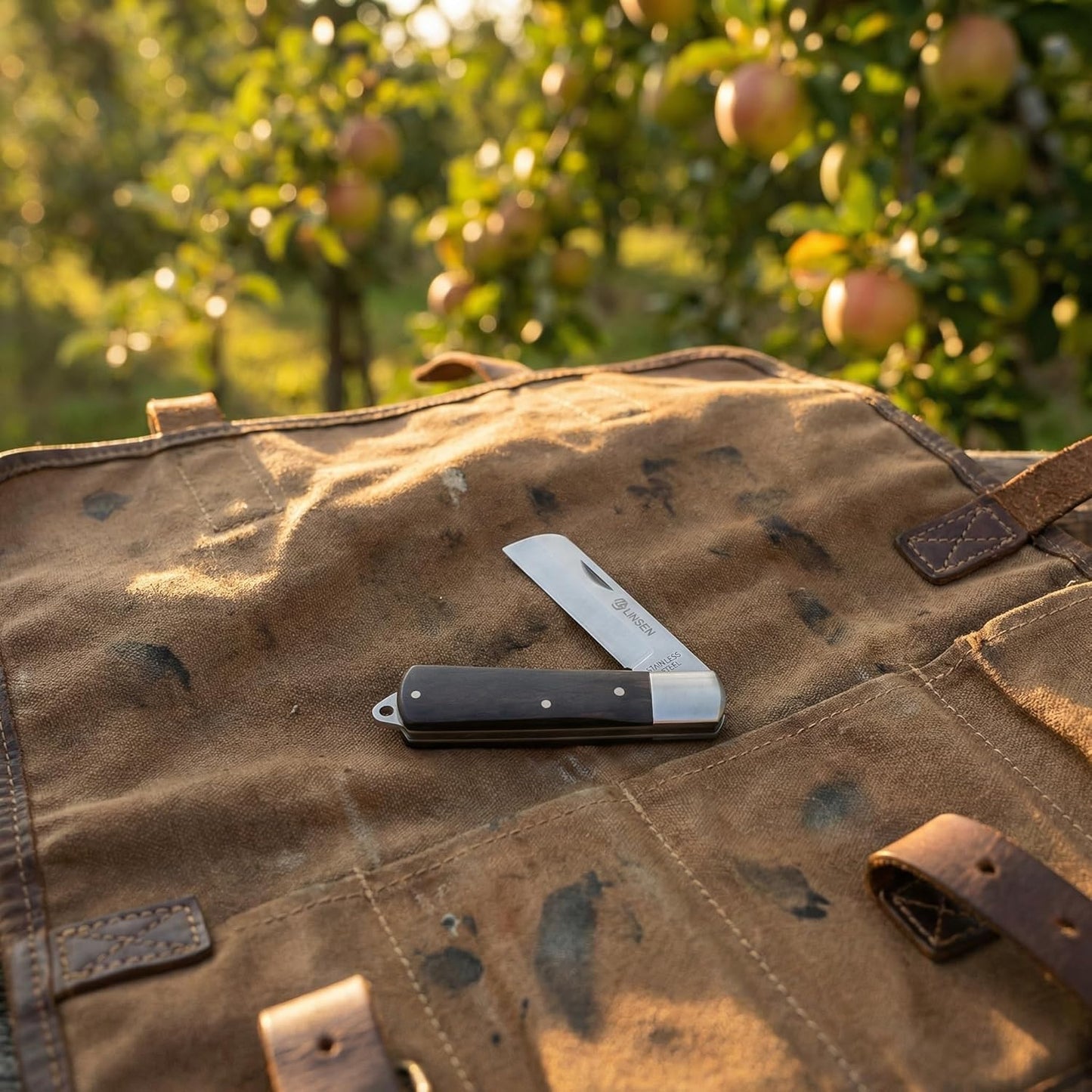 Professional Pruning & Grafting Knife - 3.5 Inch Sharp Stainless Steel Blade, Gardening, Budding, Mushroom Harvesting & Outdoor Use (model-E)