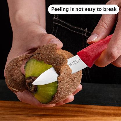 Paring Knife Fruit Knife Set (6 Pieces), Ultra Sharp Stainless Steel Vegetable and Fruit Knife with PP Plastic Ergonomic Handle for Cutting Fruits and Vegetables.Multi.