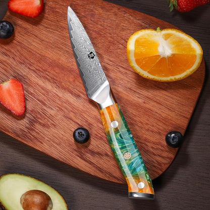 WILDMOK Paring Knife 3.5 Inch, Japanese Damascus Fruit Knife, Small peeling knife Perfect for Cutting Fruit Vegetables Petty Knife