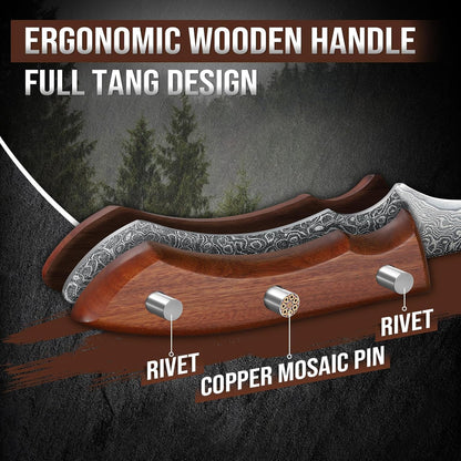 DRAGON RIOT Damascus Boning Knife 6 inch, Professional VG-10 Steel Japanese Fillet Knife, Flexible Deboning Knife,Kitchen Trimming Knife with Ergonomic Wood Handle, Premium Gift Box