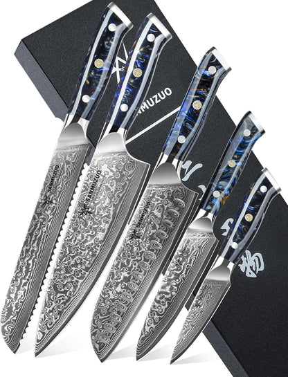 Steak Knives Set of 4, Ultra Sharp Non Serrated Kitchen Steak Knife 5 Inch - Damascus Steel & Resin Handle - Xuan Series (Sapphire Blue)