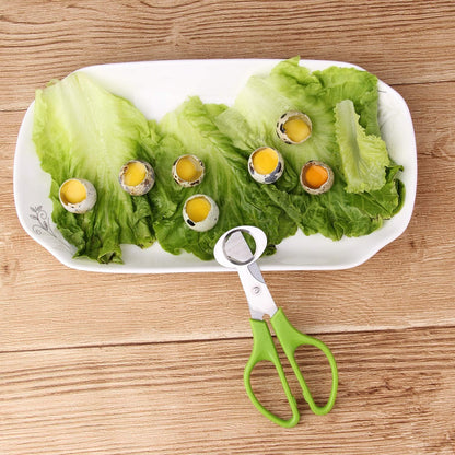 Calary 3Pcs Quail Egg Cutter Scissors Kitchen Egg Shears Tool (Green)