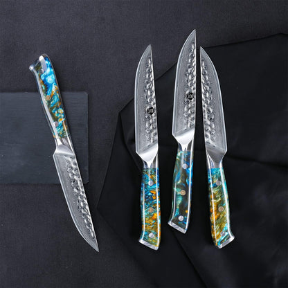 WILDMOK Steak Knife Set 4pc Full Tang 5 inch Forged Damascus Steel Dinner Knives Full Tang Ergonomic Beautiful Resin Handle