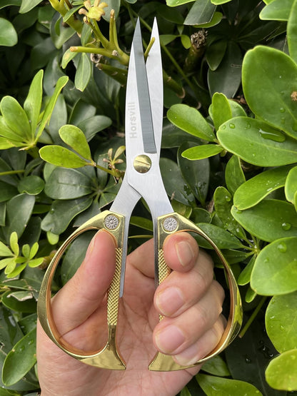 Indoor Plant Shears Garden Scissors, Flower Pruners Made of Japan SK5 Stainless Steel, Flowers Herbs and Plant Cutters, Clippers, Trimmers, Loppers, Bonsai Potted Plant Pruning Scissors
