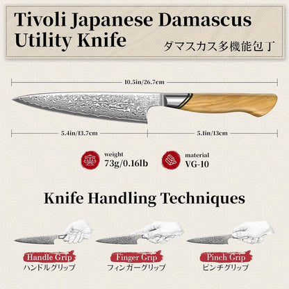 TIVOLI Japanese Gyuto Knife 10 Inch– VG-10 Damascus Chef Knife with Razor Sharp Blade and Ergonomic Olive Wood Handle, Ideal for Meat, Vegetables & Daily Cooking