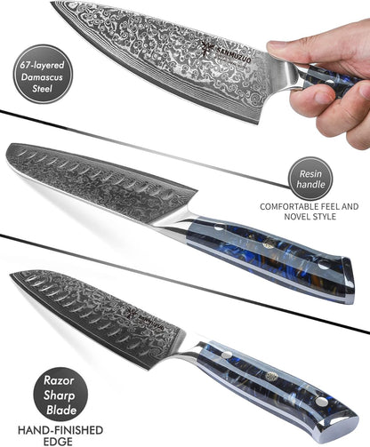 Steak Knives Set of 4, Ultra Sharp Non Serrated Kitchen Steak Knife 5 Inch - Damascus Steel & Resin Handle - Xuan Series (Sapphire Blue)