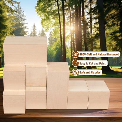 Basswood Carving Blocks, 19PCS Whittling Wood Blocks Kit with 3 Different Sizes, Bass Wood for Carving Easy to Use, for Kids and Adults