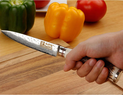SUNLONG Usuba & Nakiri Knife 6.5 inch Fruit and Vegetable Knife Japanese Hammered Damascus Steel Super sharp - Natural Deer Horn Handle