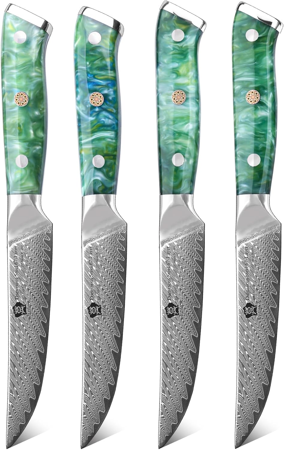 WILDMOK Steak Knife Set 4pc Full Tang 5 inch Forged Damascus Steel Dinner Knives Full Tang Ergonomic Beautiful Resin Handle