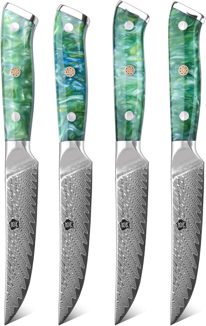 WILDMOK Steak Knife Set 4pc Full Tang 5 inch Forged Damascus Steel Dinner Knives Full Tang Ergonomic Beautiful Resin Handle