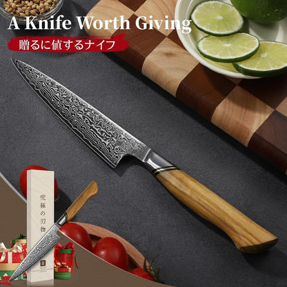 TIVOLI Japanese Gyuto Knife 10 Inch– VG-10 Damascus Chef Knife with Razor Sharp Blade and Ergonomic Olive Wood Handle, Ideal for Meat, Vegetables & Daily Cooking