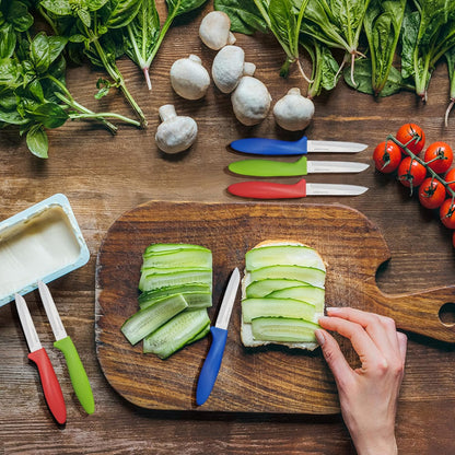 Paring Knife set of 6 PCS, 3.5 Inch Stainless Steel Fruit and Vegetable Knives,Comfortable Handle With Multi-Color Red/Green/Blue