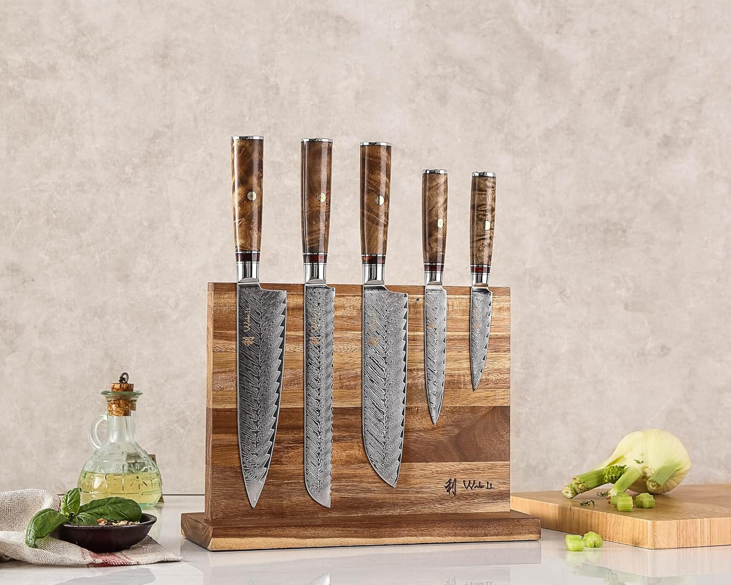 Wakoli Damascus Chef Knife Set with Magnetic Block – 5-Piece Professional Kitchen Knife Block Set, Genuine 67-Layer Damascus Steel Blades with VG10 Core & Ergonomic Sycamore Wood Handles